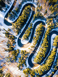 Aerial view of road amidst tree during winter