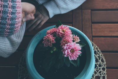 High angle view of woman sleeping by plant