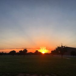 Silhouette trees on field against sky during sunset