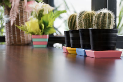 Close-up of potted plants on table