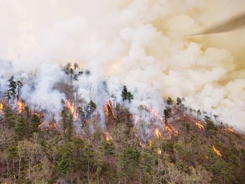 Panoramic view of fire in forest