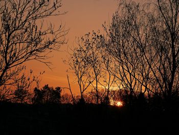 Silhouette bare trees against sky during sunset