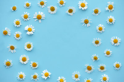 High angle view of yellow flowering plants against blue sky