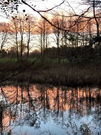 Scenic view of river in forest during winter