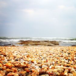 Surface level of beach