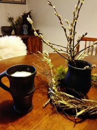 potted plant