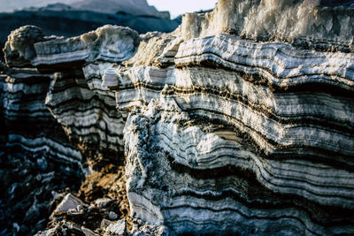 Close-up of salt layer on rock