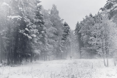 Scenic view of snow covered landscape