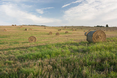 Hay bales on field against sky