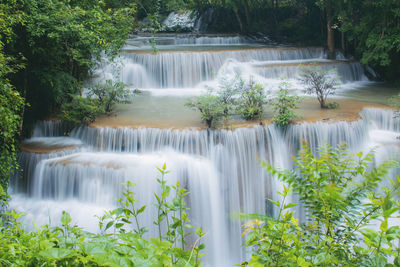 Scenic view of waterfall in forest