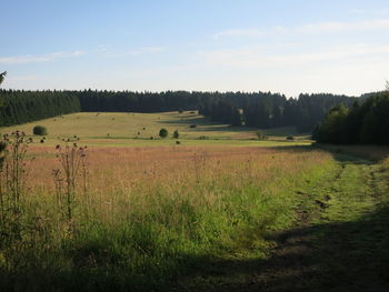 Scenic view of field against sky