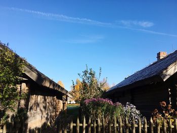 Low angle view of trees and building against blue sky