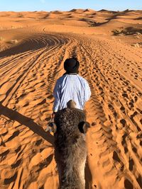 Full length rear view of a horse in desert