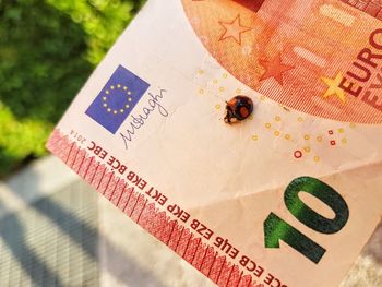 Close-up of ladybug on banknote