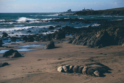 Scenic view of beach against sky