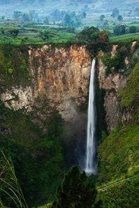 View of waterfall in forest