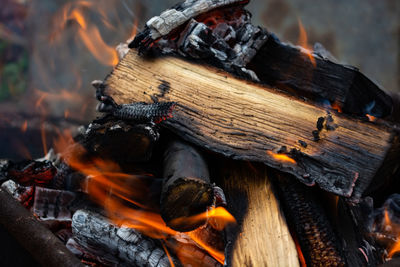 Close-up of fire on log