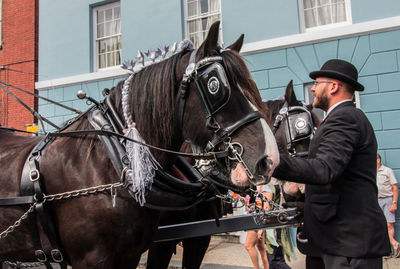 View of horse cart