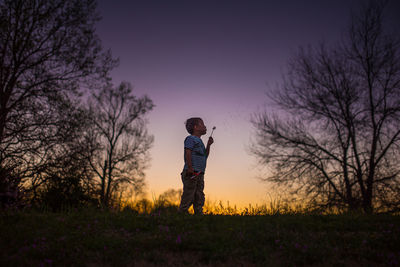 Little boy blowing dandelion silohette summer sunset purple yellow