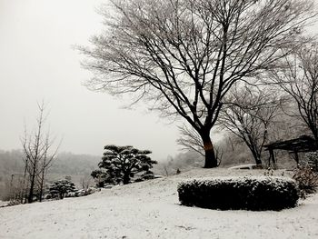 Bare trees on snow covered field against sky