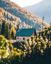 Houses by trees and mountains against sky