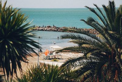 Palm trees by sea against sky