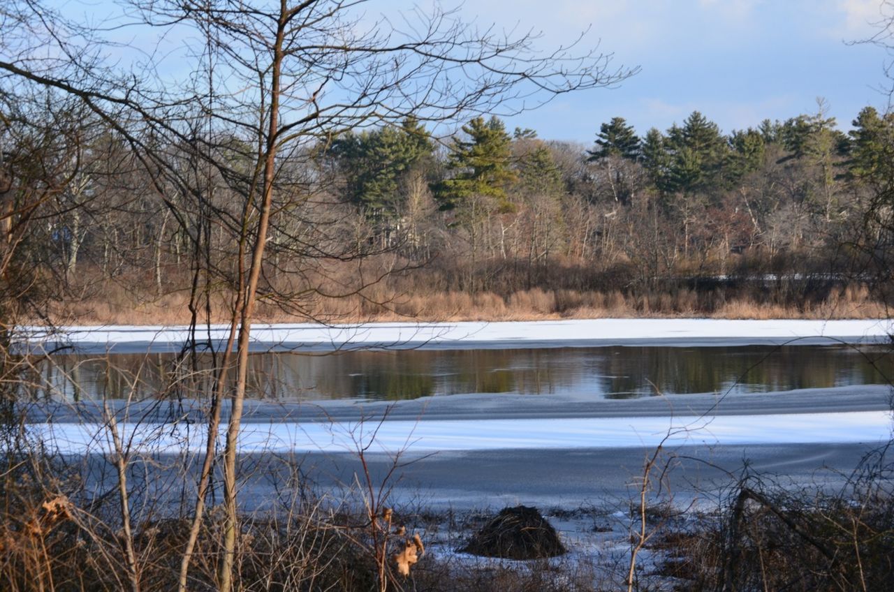 Charles river