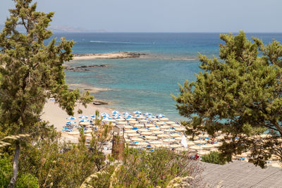 High angle view of trees on beach against sky
