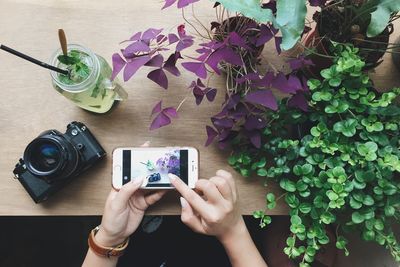 Cropped image of woman holding smart phone