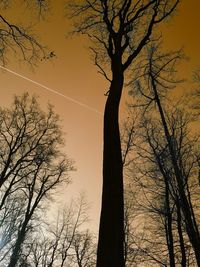 Low angle view of silhouette tree against sky at sunset