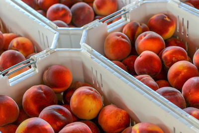 Close-up of apples in basket