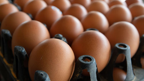 Close-up of eggs in container