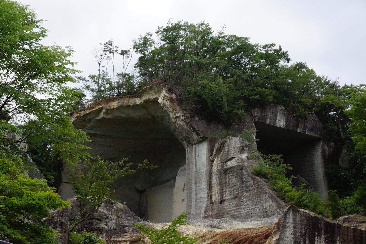 plant, tree, architecture, built structure, sky, nature, low angle view, day, bridge, no people, bridge - man made structure, growth, connection, outdoors, history, green color, land, the past, tranquility, old, ancient civilization