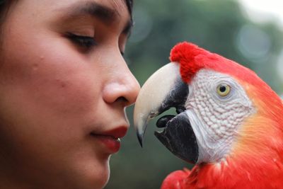 Close-up portrait of young woman and red macaw
