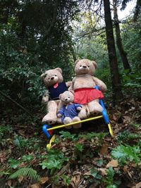 Stuffed toy in forest