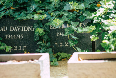 Information sign at cemetery