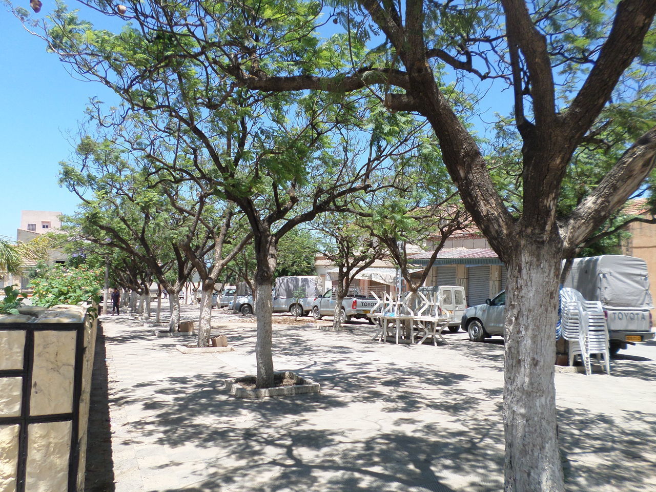 TREES BY FOOTPATH IN PARK AGAINST BUILDINGS