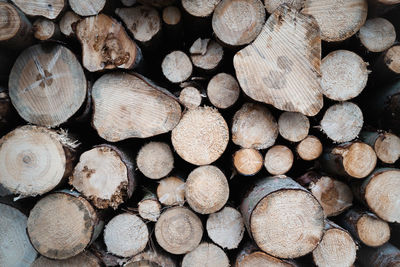 Full frame shot of logs in forest