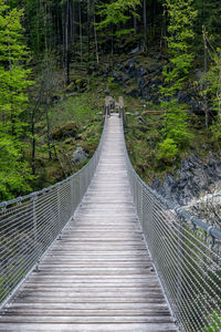 View of footbridge in forest