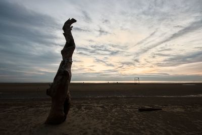 Driftwood on beach against sky during sunset