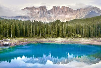 Scenic view of trees and mountains against sky