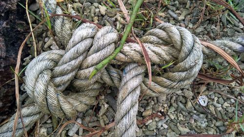 High angle view of rope on land