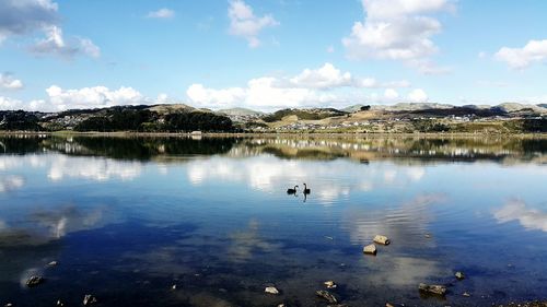 Swans on lake against sky