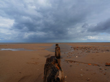 View of horse on beach against sky