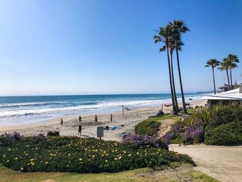 Scenic view of beach against clear sky