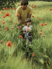 Little boy sees poppies first time in his life. father and son on rye field with flowers at sunset.