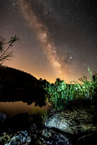 Scenic view of trees against sky at night