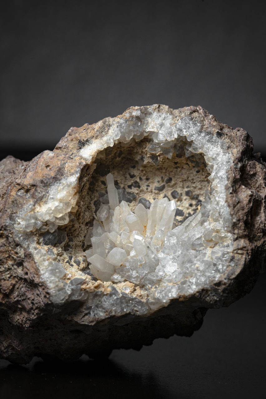 CLOSE-UP OF SHELLS ON ROCK