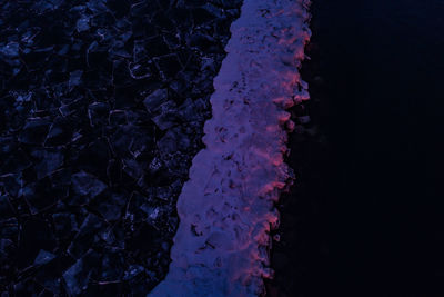 Close-up of tree trunk during winter