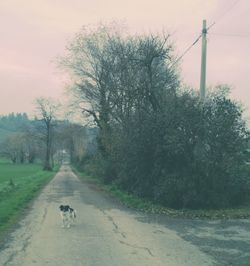 Road passing through landscape